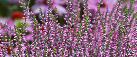 EIN KUNTERBUNTER HERBST!