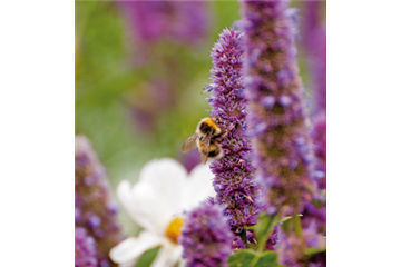 DAS GROSSE KRABBELN! 