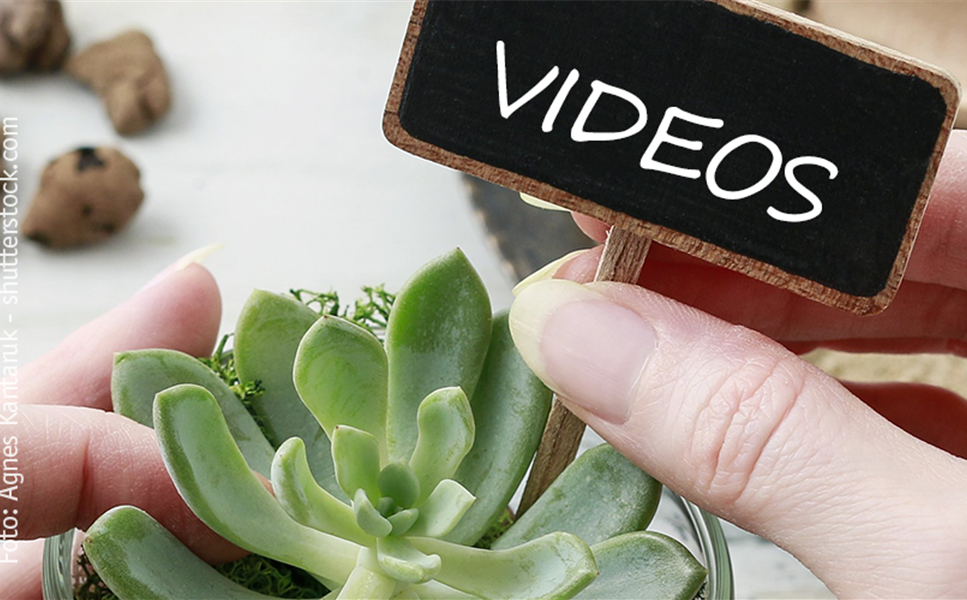 VIDEOS - TIPPS UND TRICKS!