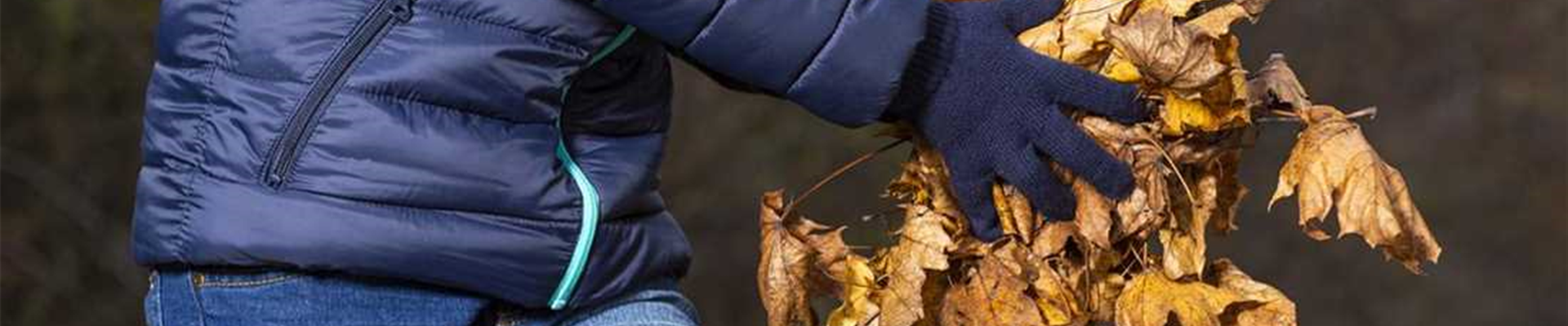 TO-DO'S IM OKTOBER