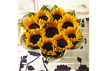 DIE TOP 8 DER HERBSTBLUMEN