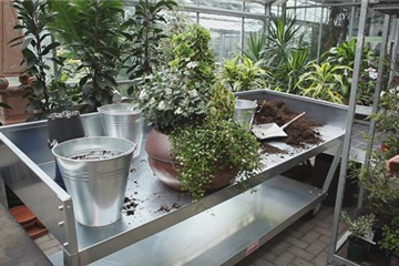 Blumenkübel - Dauerhafte Bepflanzung