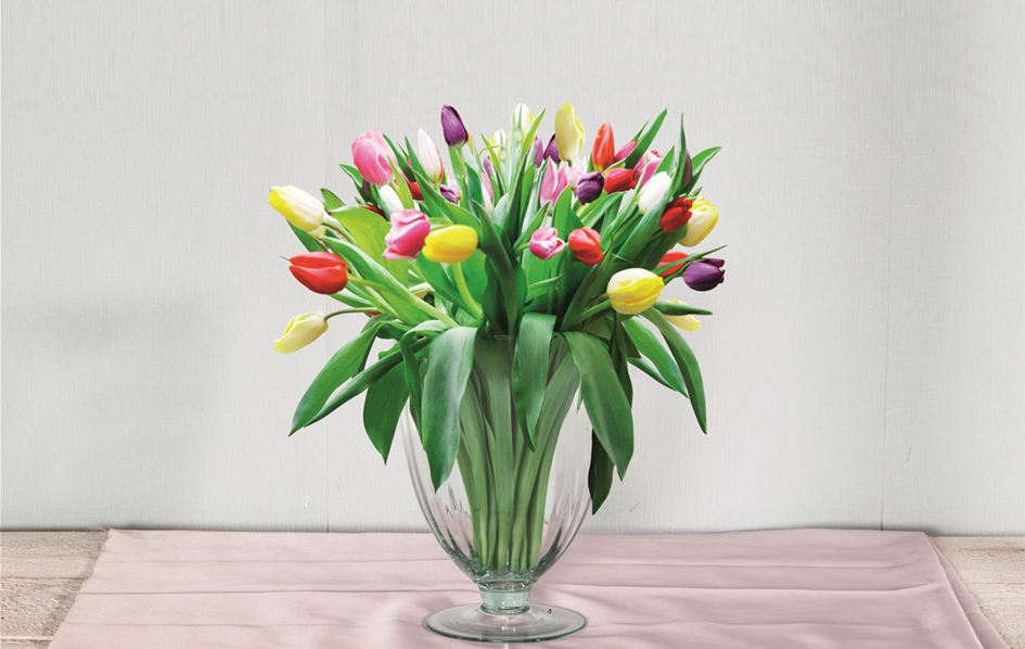 Pool_SAGAFLOR allgemein_Datei_1_1_tulpenbund_vase_Art-Nr_.jpg