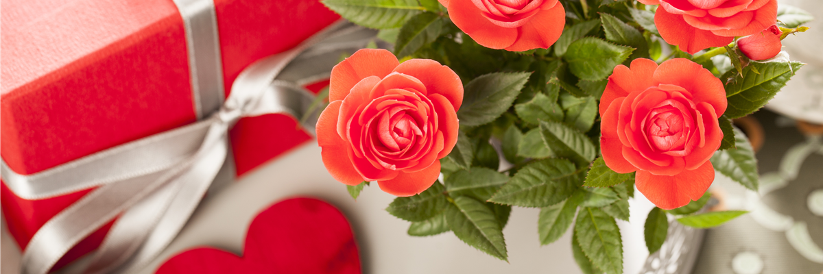 Edelrose