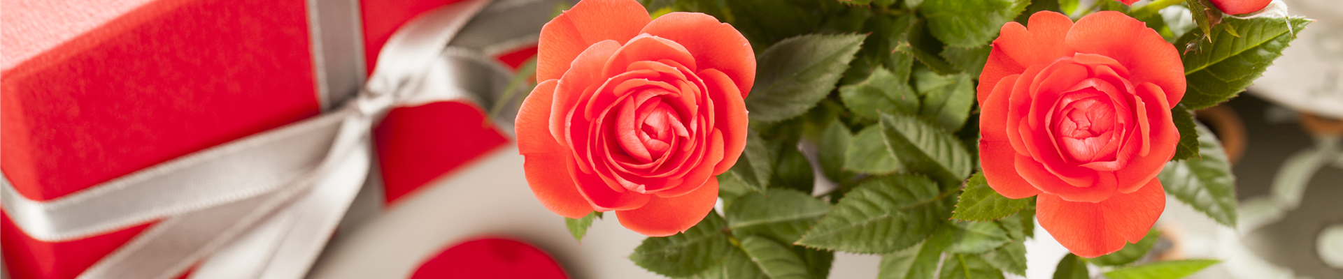 Edelrose