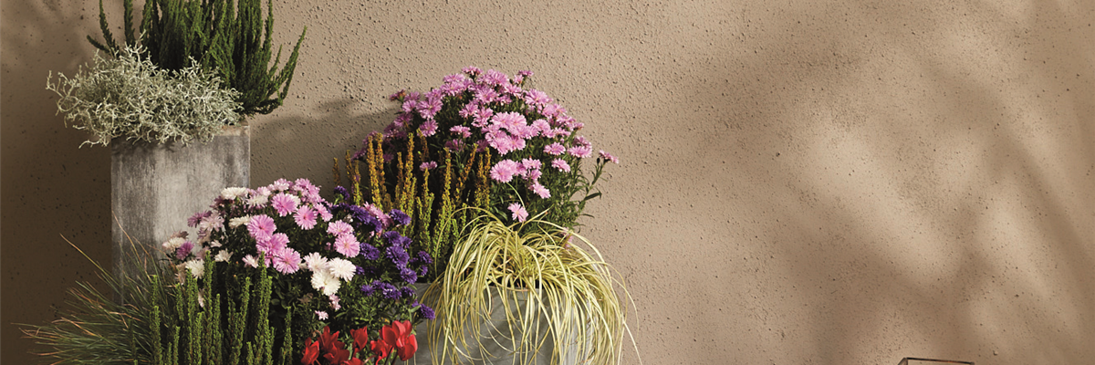 EIN KUNTERBUNTER HERBST!