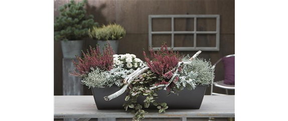 EIN KUNTERBUNTER HERBST!