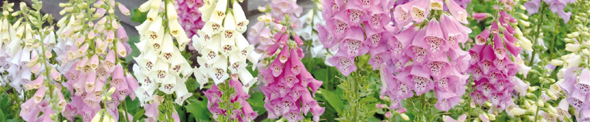 URLAUBSFLAIR FÜR ZUHAUSE. 