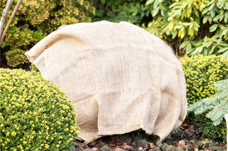 GUT GESCHÜTZT DURCH DEN WINTER!