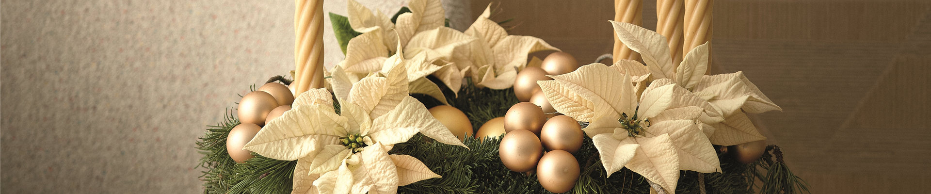 WILLKOMMEN IM FESTZAUBER!