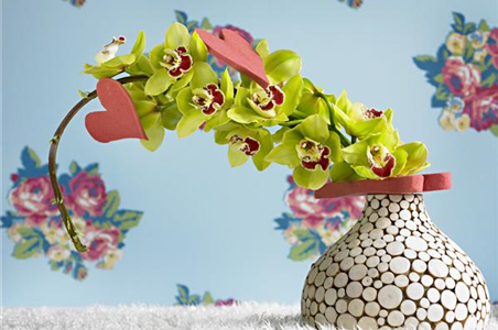 DIE TOP 8 DER WINTERBLUMEN