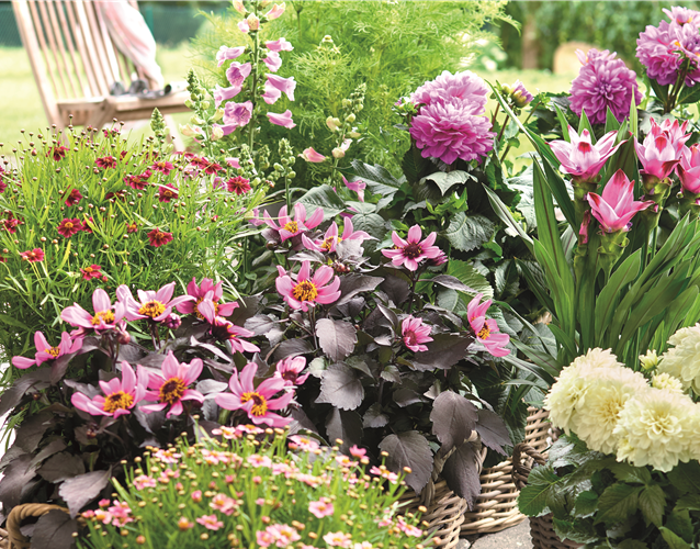 BLÜHENDER GARTEN! AUSDAUERNDE STAUDEN FÜR TERRASSEN UND BEETE. 