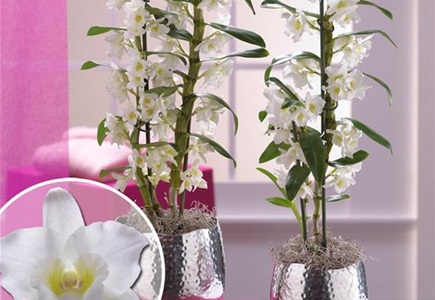 Veranstaltungen und Events