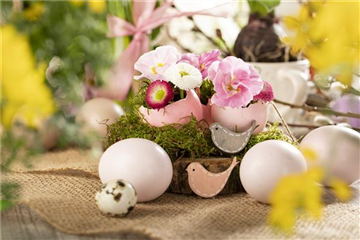 AUS DER KNOLLE KOMMT DAS TOLLE!