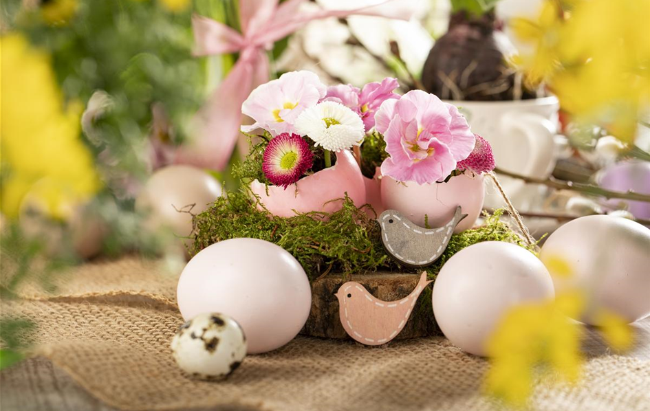 Osterambiente mit Bellis