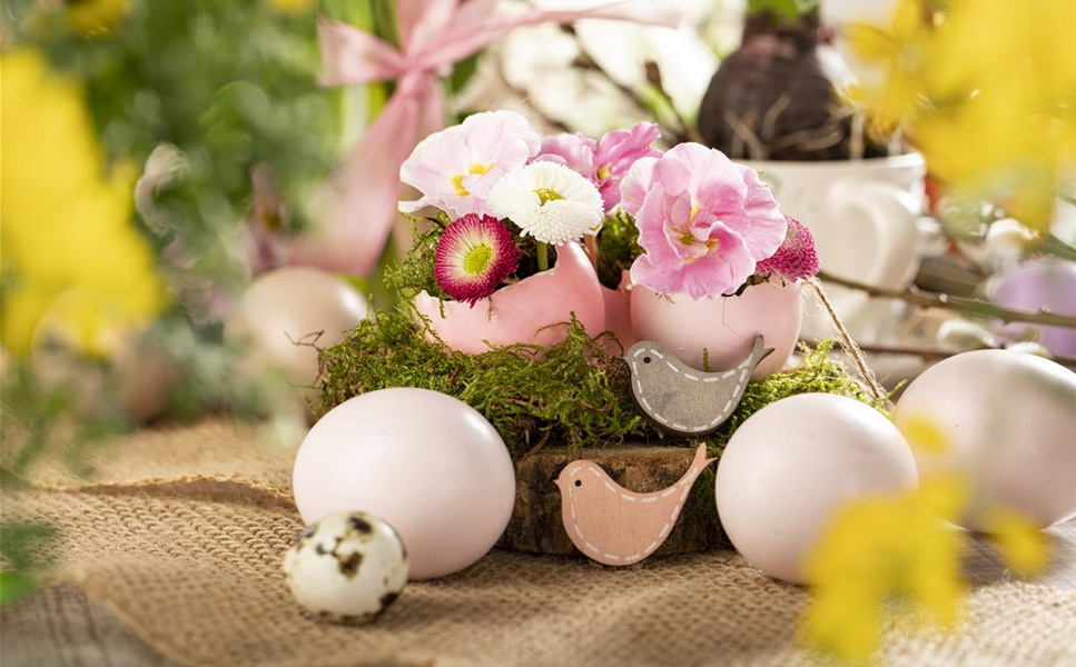 Frisch ins neue Gartenjahr starten